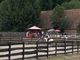 Le Sagi-Ranch - Centre Equestre à Saint-Julien-aux-Bois
