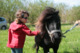 Les Crinières Noires - Tourisme Equestre - Les Cabannes (09)