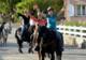 Les Crinières Noires - Tourisme Equestre - Les Cabannes (09)