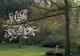 Les Jardins de Bellevue - Parc et jardin à Beaumont-le-Hareng