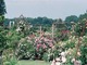 Les jardins de Roquelin - Visite de Jardin et Pépinière à Meung-sur-Loire