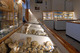 Maison du Fossile - Musées à Lion-sur-Mer