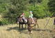 Natur'ânes - Randonnée avec Ane à Mialet (30)