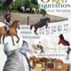 Plan d'accès O'Reil Equitation