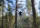 Parcours dans les arbres / escalade Alma - Parcours Aventure en Forêt à Migné-Auxances