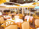 Restaurant Festival - Restaurant Traditionnel à Cannes