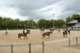 Coordonnées Société d'Equitation Bressane