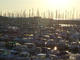 Yachting Club de la Pointe Rouge Section Pêche - Pêche en Mer à Marseille