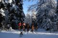 Week-end équestre hivernal Jura