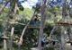 Entrée enfant au parc aventure et labyrinthe dans l'Hérault - Parcours Aventure en Forêt - Saint-Christol