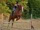 Initiation à l'équitation près de Paris - Randonnée à Cheval - Sammeron