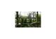 Parcours dans les arbres - Parcours Aventure en Forêt - Hérouville-Saint-Clair